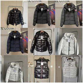 Moncler Madeira series Short Down Jacket Zipper Fit Hooded Long Sleeve Down Jacket-4287  